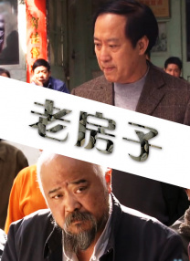 三节片